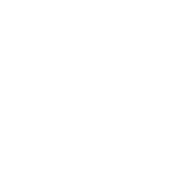Quasi Group crest - white reversed